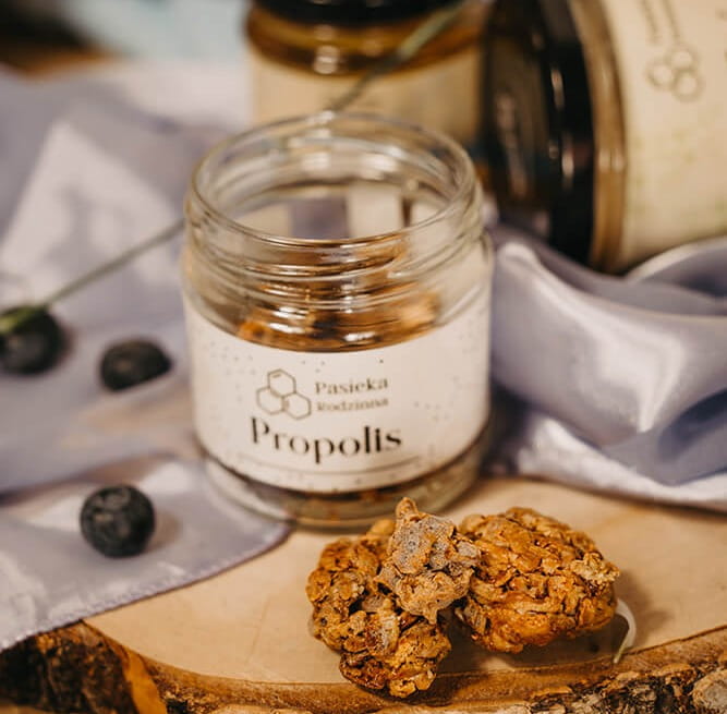 Propolis (10)1.jpg