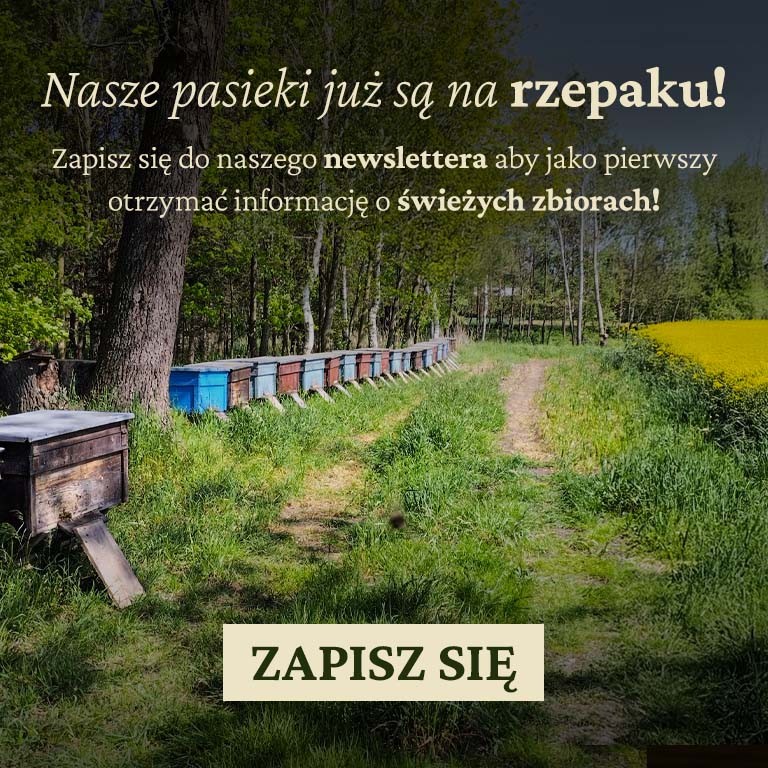 Nasze pasieki już są na rzepaku