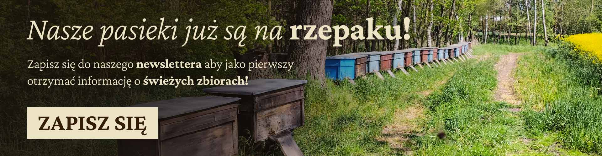 Nasze pasieki są już na rzepaku
