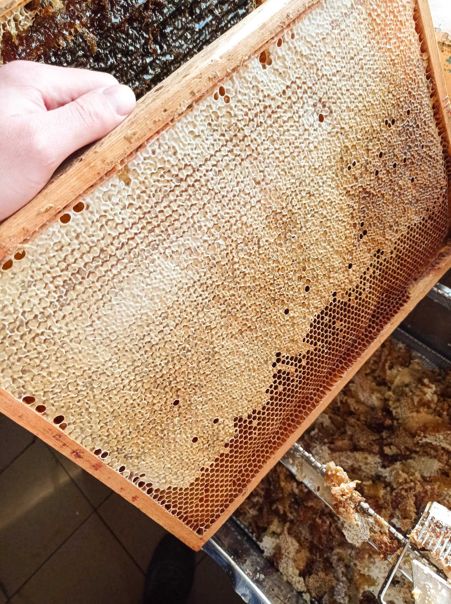 Ramka z miodem przed odsklepieniem Pasieka Rodzinna