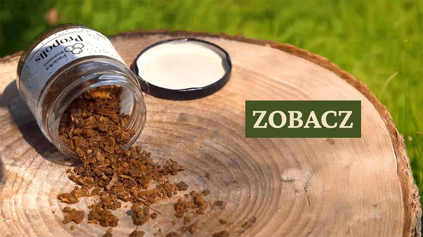 Propolis Pasieka Rodzinna