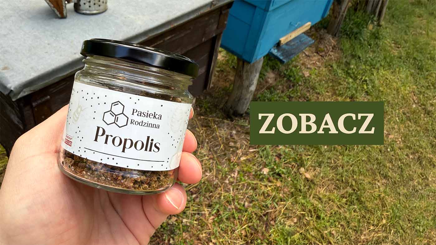 https://pasieka-rodzinna.pl/pl/c/Propolis-kit-pszczeli/70